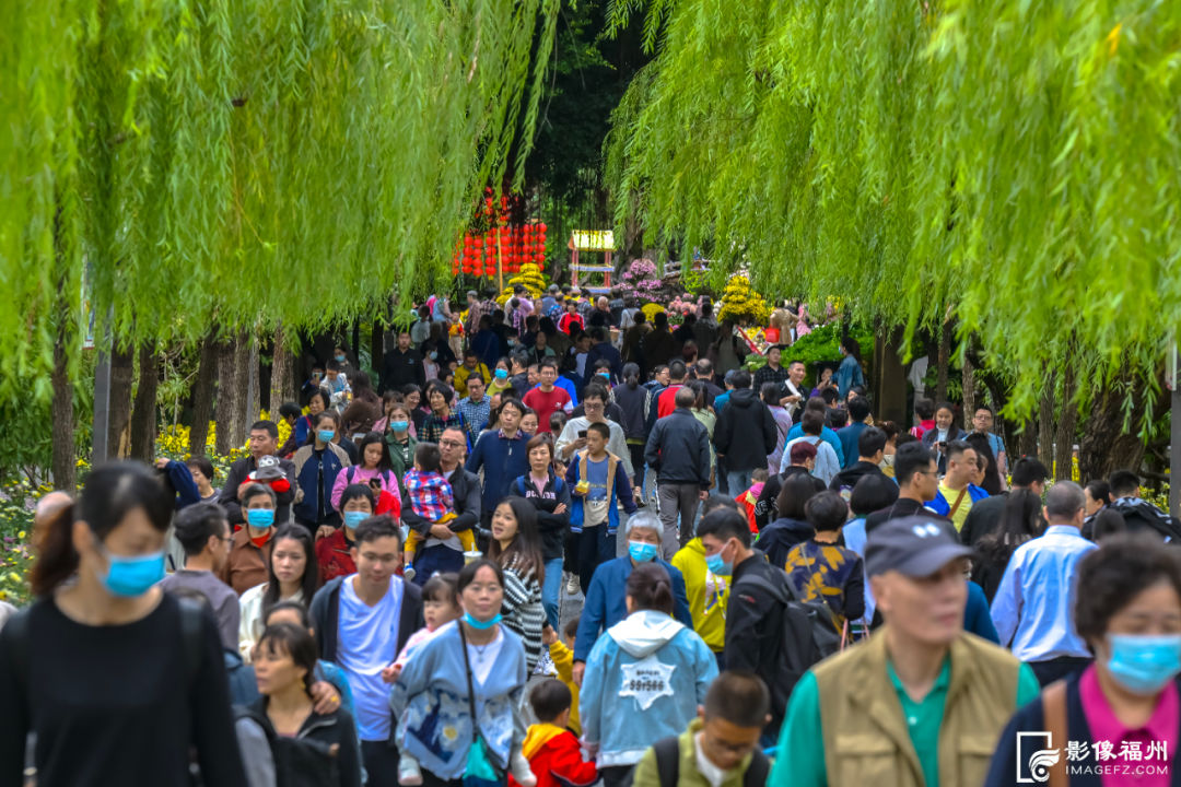 百年前的西湖公园菊展是什么样的？