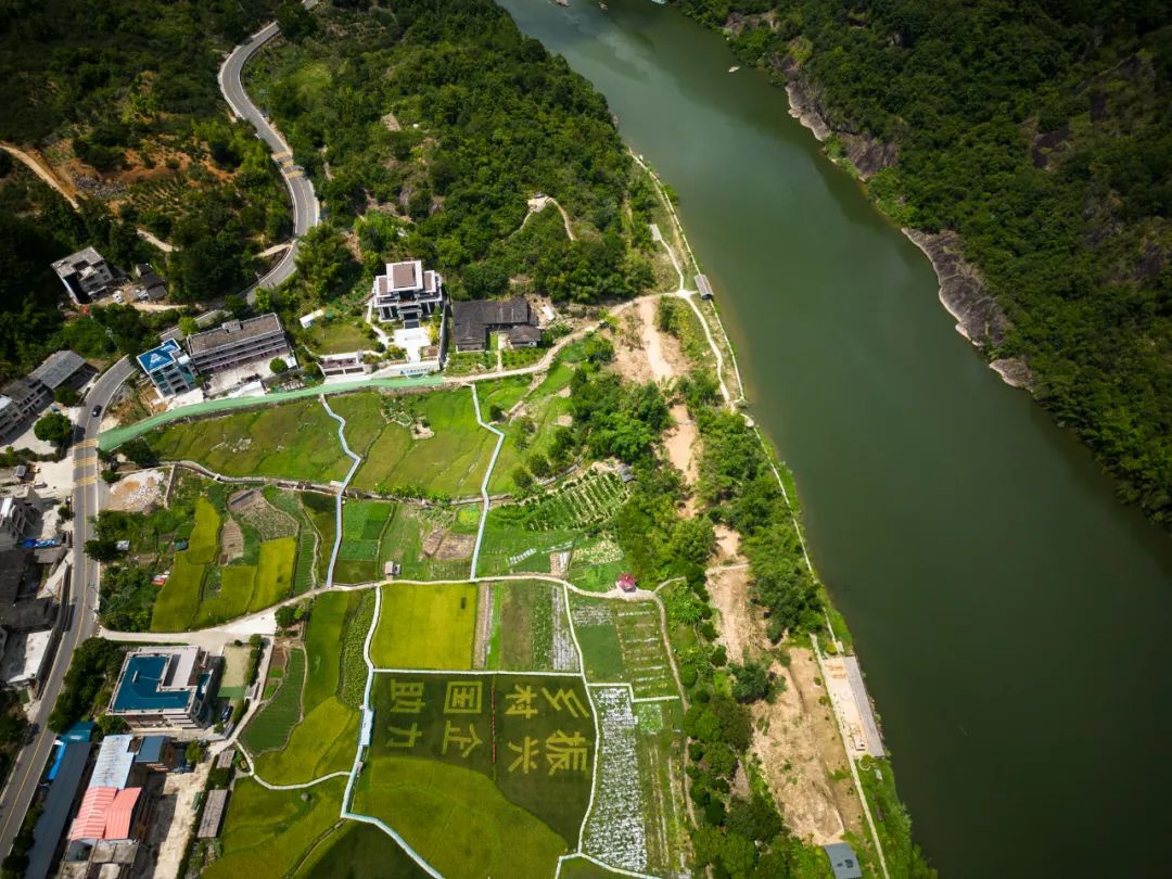 永泰转化主题教育成果，助推产业高质量发展