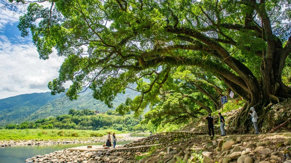 永泰转化主题教育成果，助推产业高质量发展