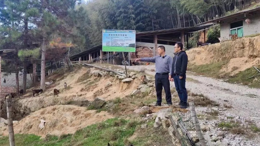 永泰转化主题教育成果，助推产业高质量发展