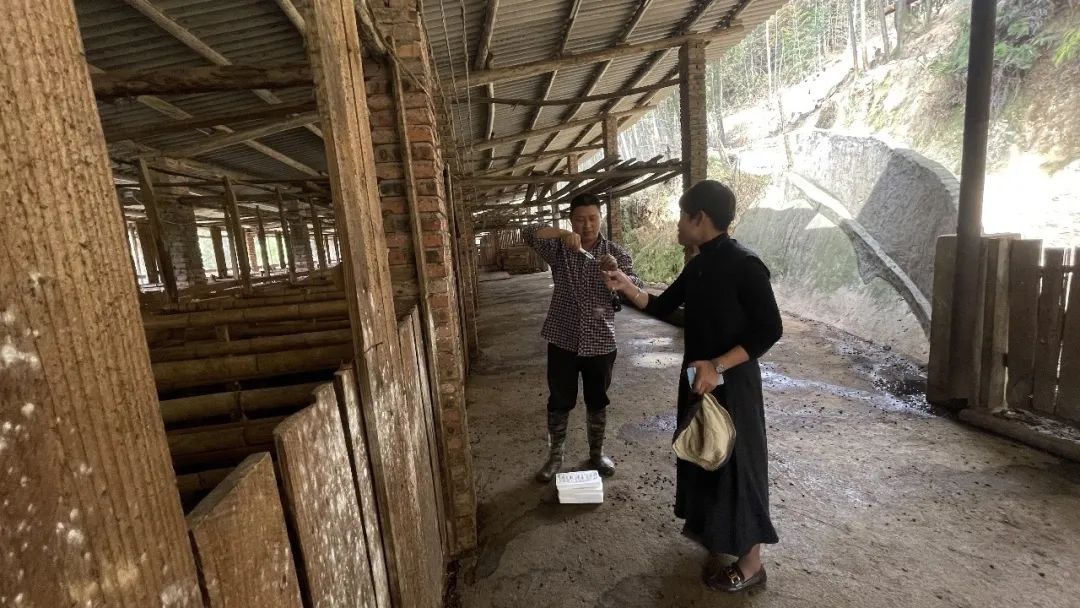 永泰转化主题教育成果，助推产业高质量发展