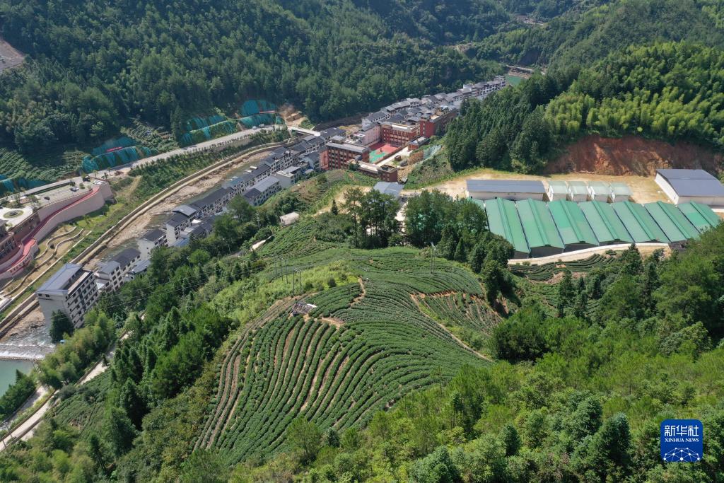 “把心贴近人民”——解码“四下基层”