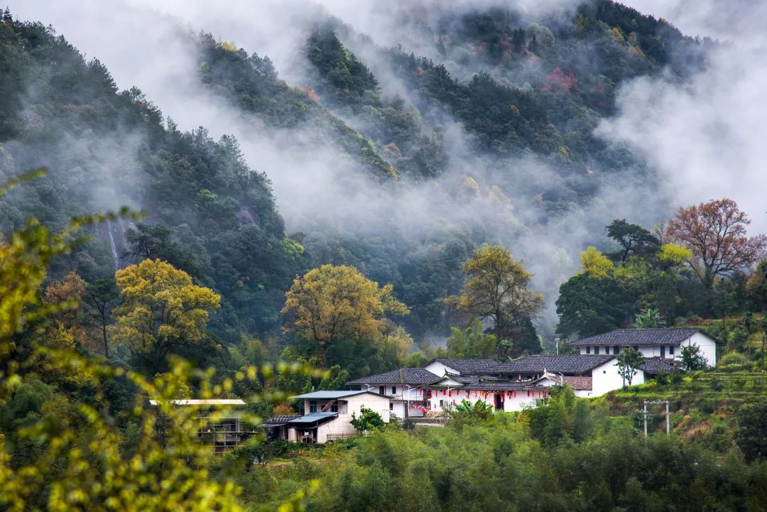 大雪丨岁暮清欢，愿今冬胜旧冬