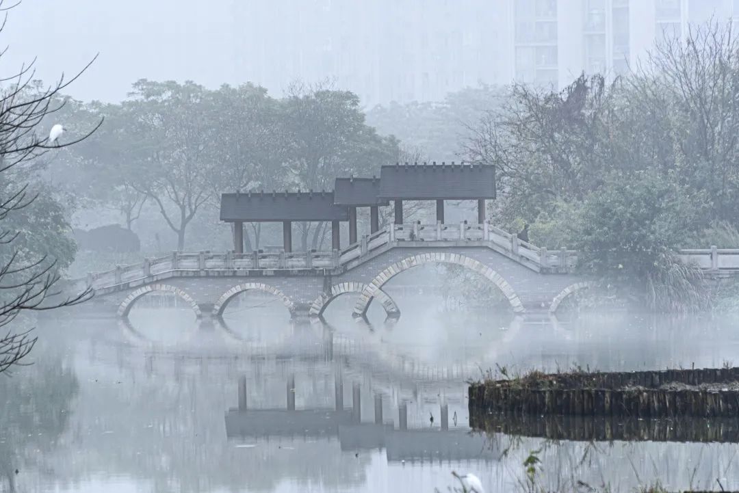 大雪丨岁暮清欢，愿今冬胜旧冬