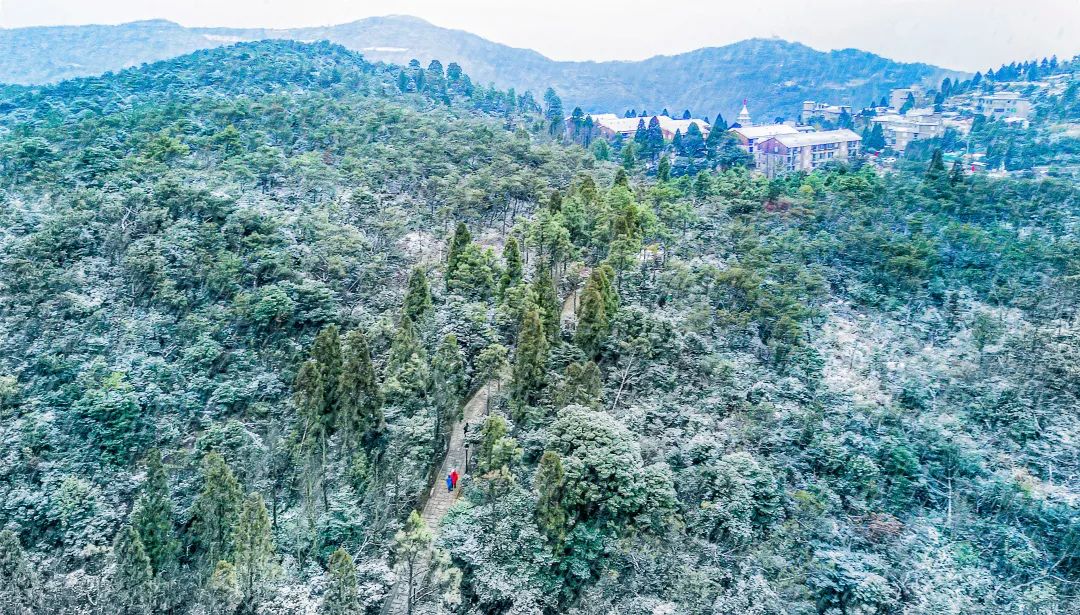 大雪丨岁暮清欢，愿今冬胜旧冬