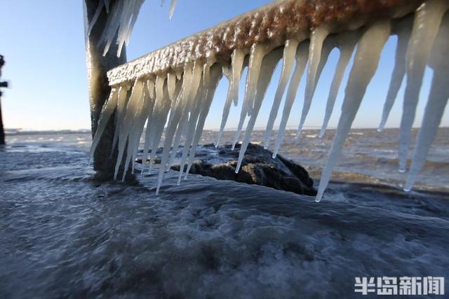 青岛胶州湾出现海冰凌景观