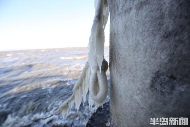 青岛胶州湾出现海冰凌景观