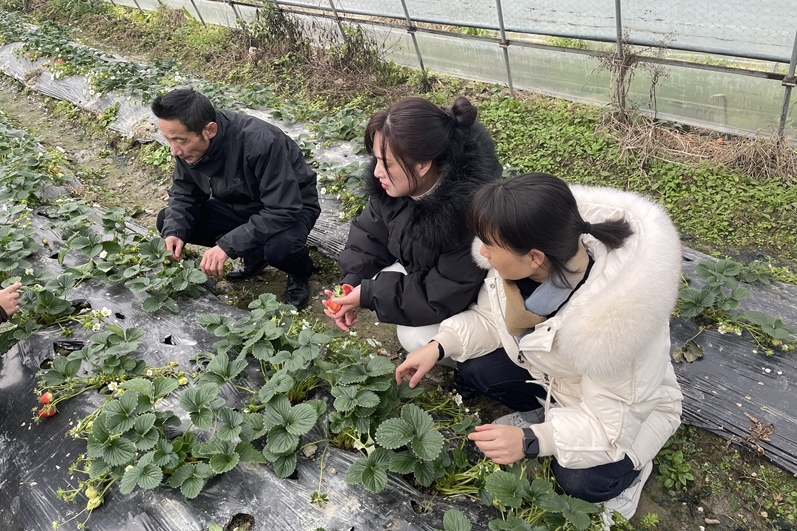 农业农村部针对福建等18省份，启动Ⅳ级应急响应！