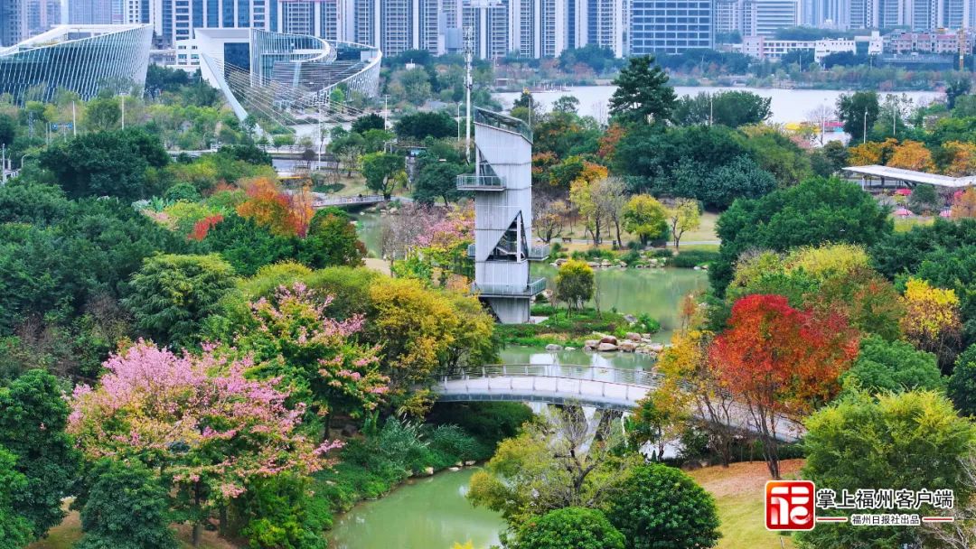 冬日City Walk首选！就在五彩缤纷的秘境