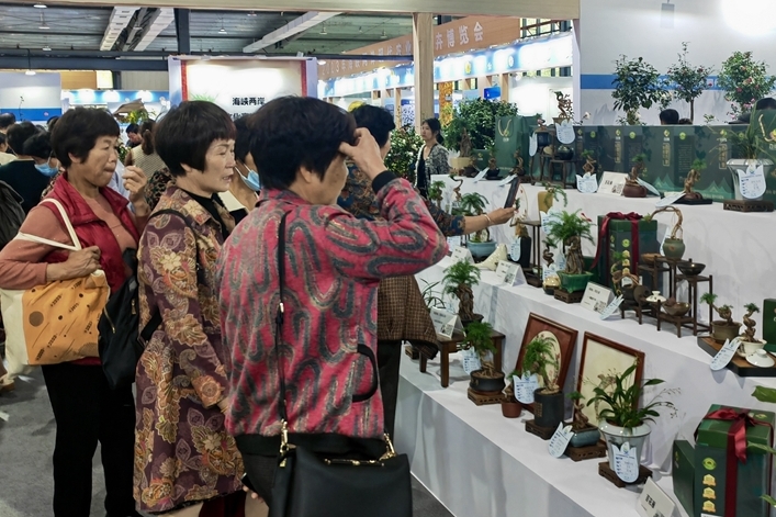 仓山区金山街道：百花场里，万花竞妍更芬芳