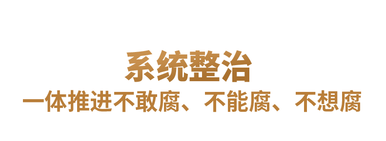 特稿丨持续发力 纵深推进