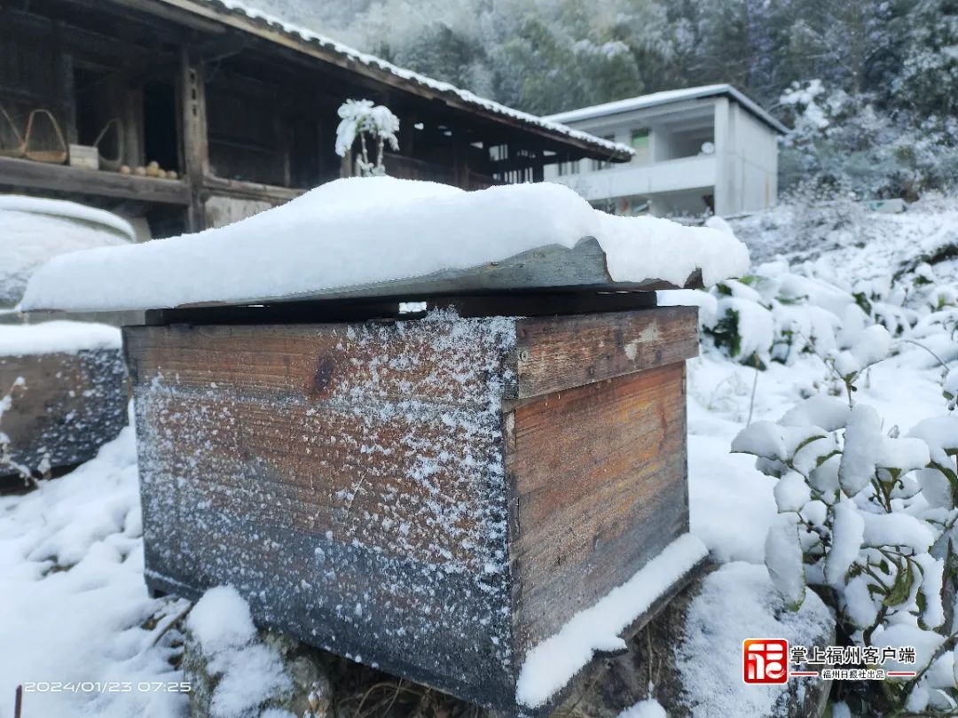 刷屏！福州人在市区能看到雪山！ 网友：雪景房