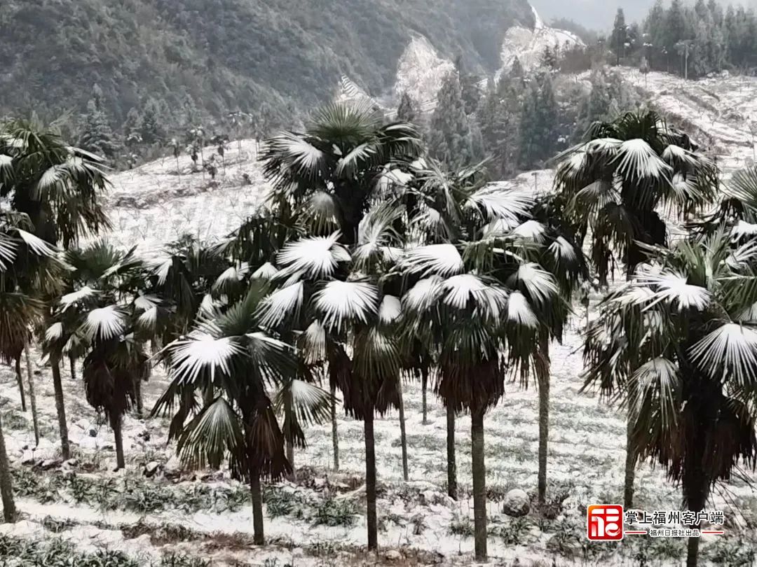 刷屏！福州人在市区能看到雪山！ 网友：雪景房