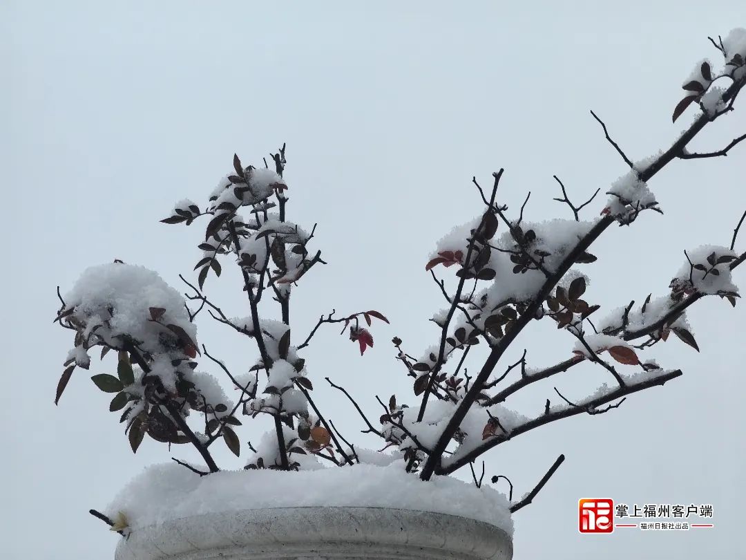 刷屏！福州人在市区能看到雪山！ 网友：雪景房