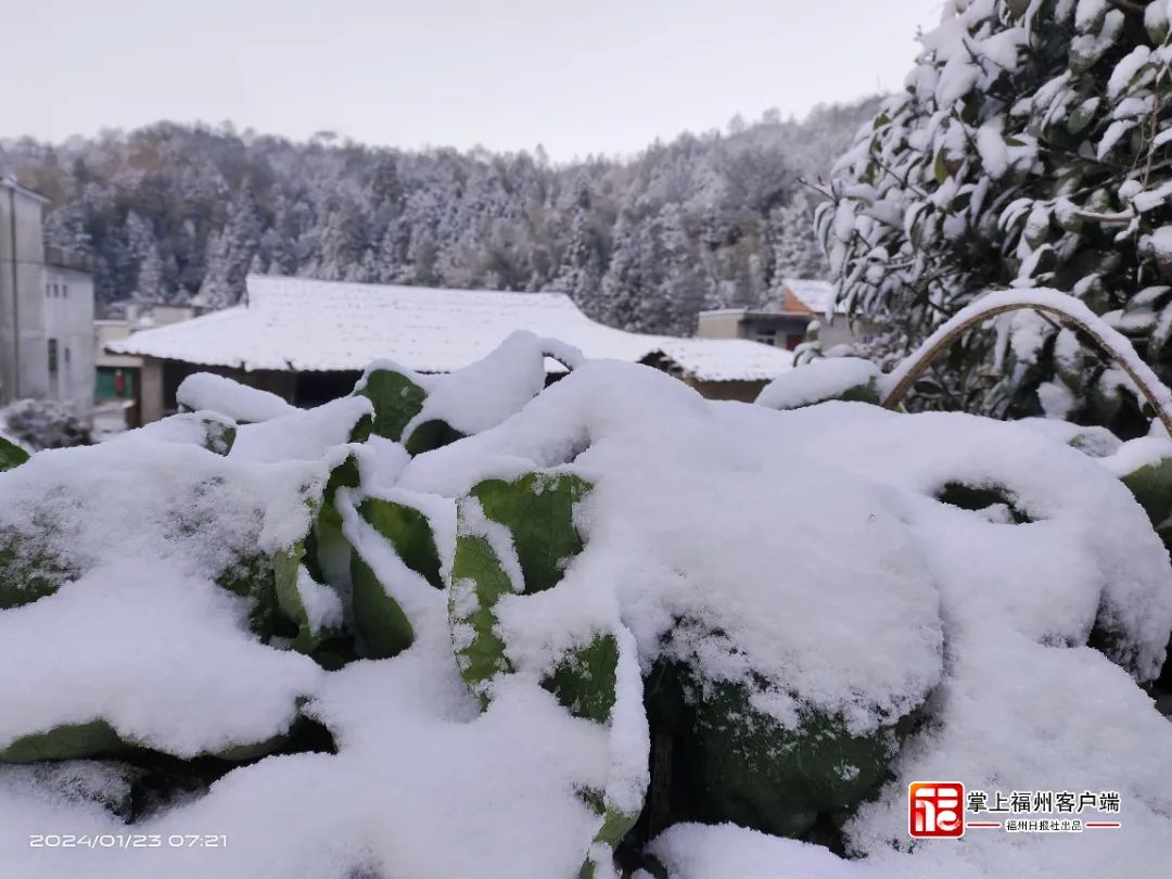 刷屏！福州人在市区能看到雪山！ 网友：雪景房