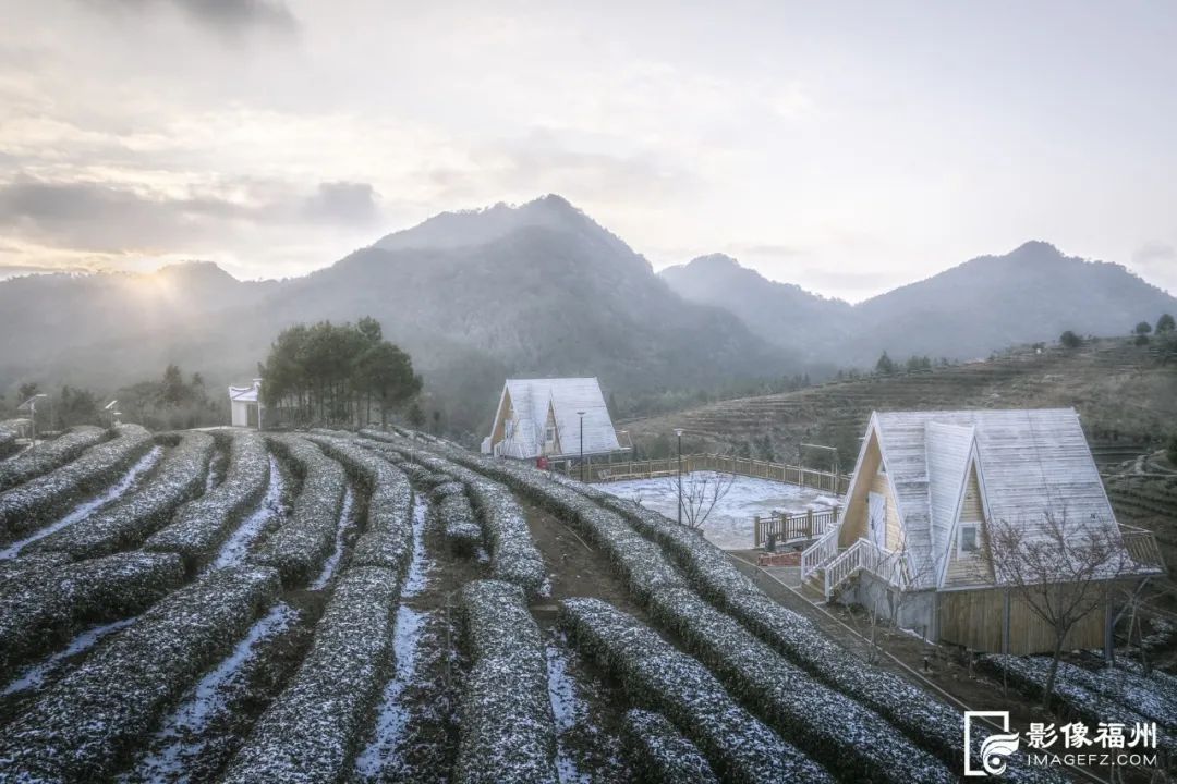 福州雪后茶山有多美？