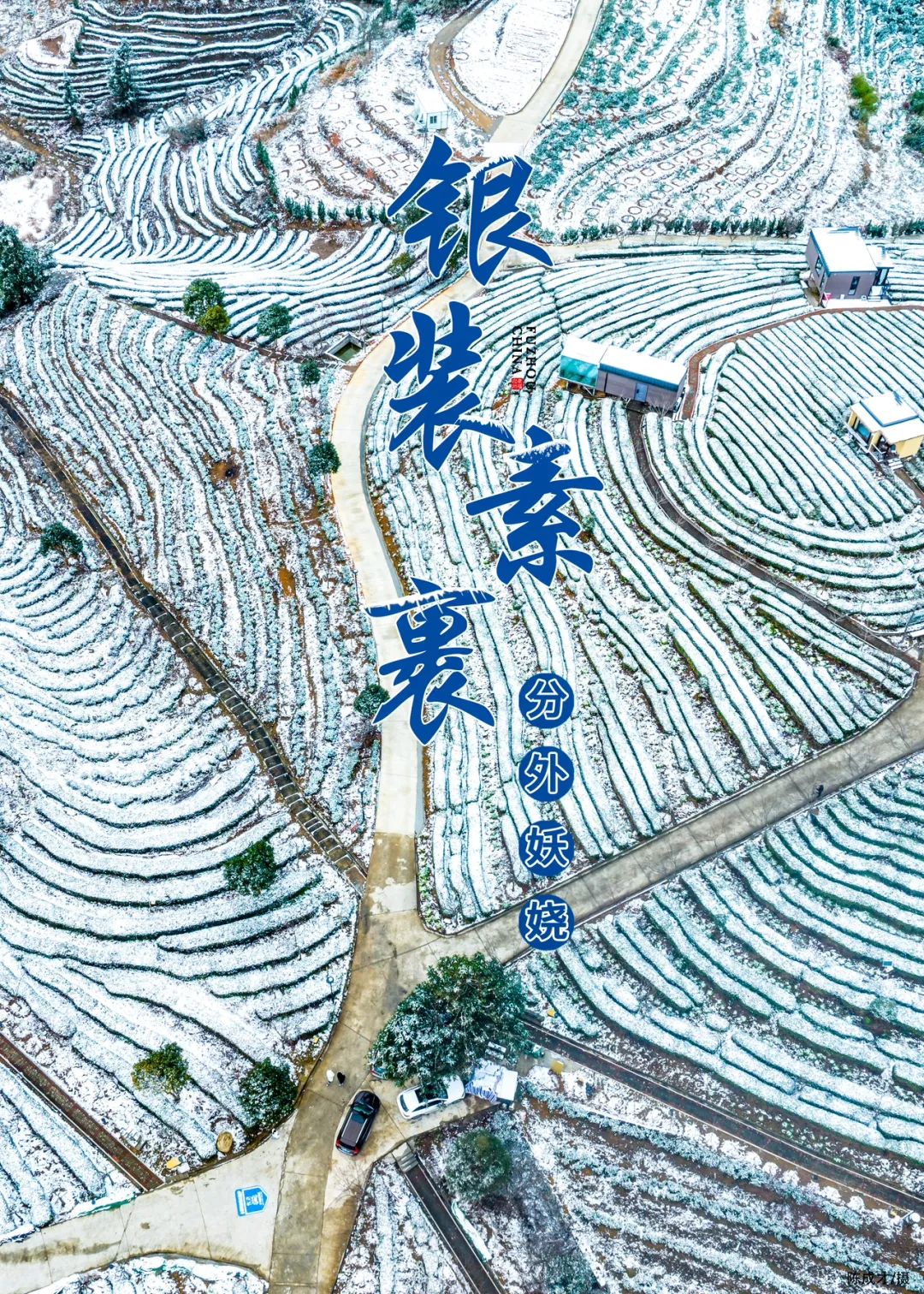 福州雪后茶山有多美？