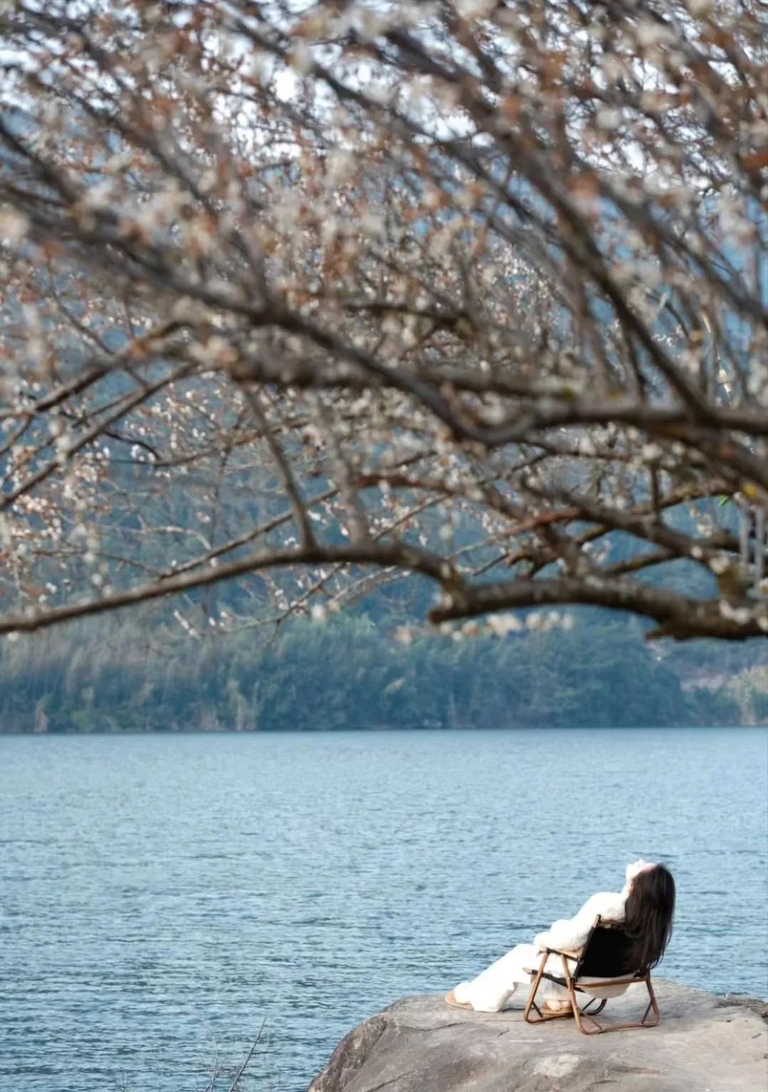 春节去哪玩丨“繁花”偷偷偷走你的心