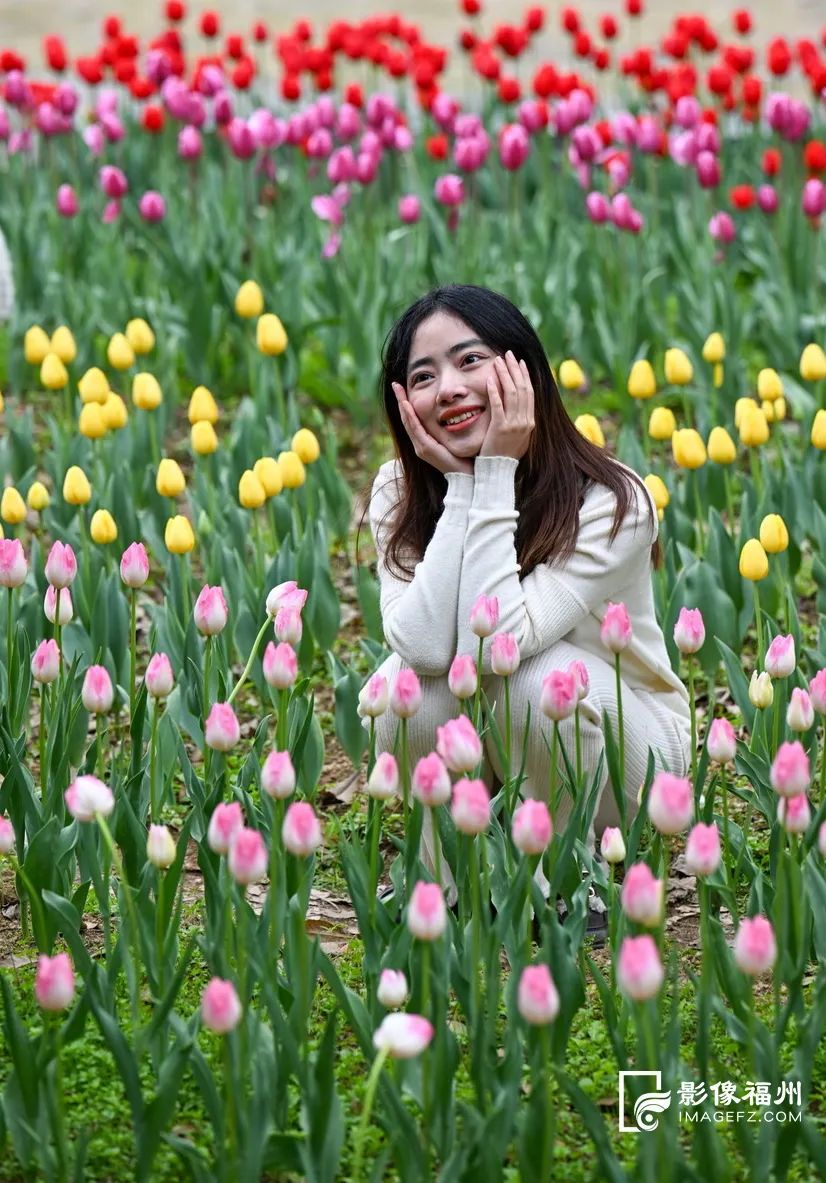 10多万株“花中皇后”！这片花海太美了！