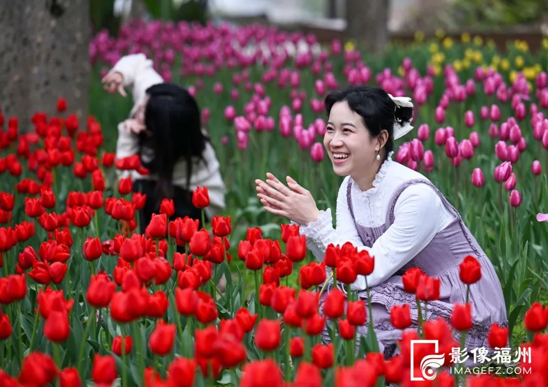 10多万株“花中皇后”！这片花海太美了！