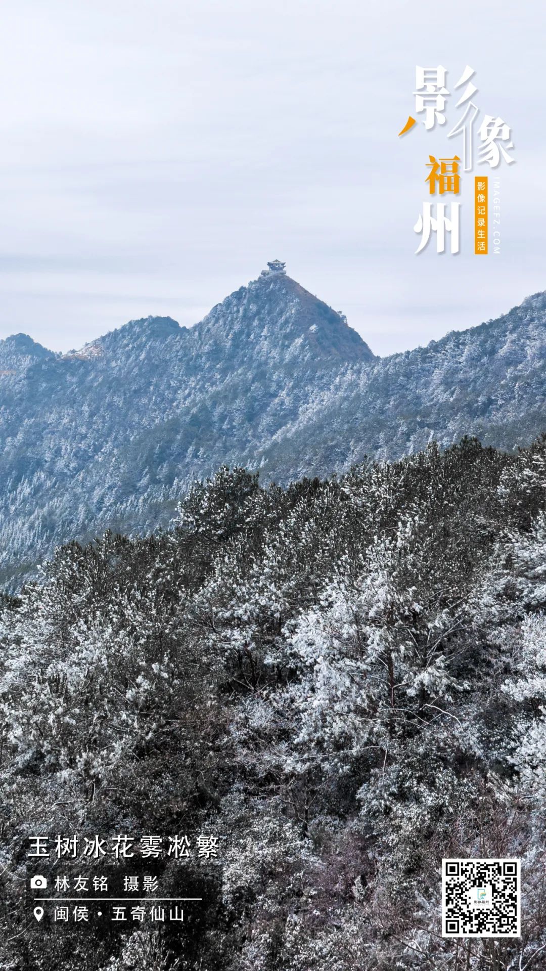 影像福州｜玉树冰花雾凇繁