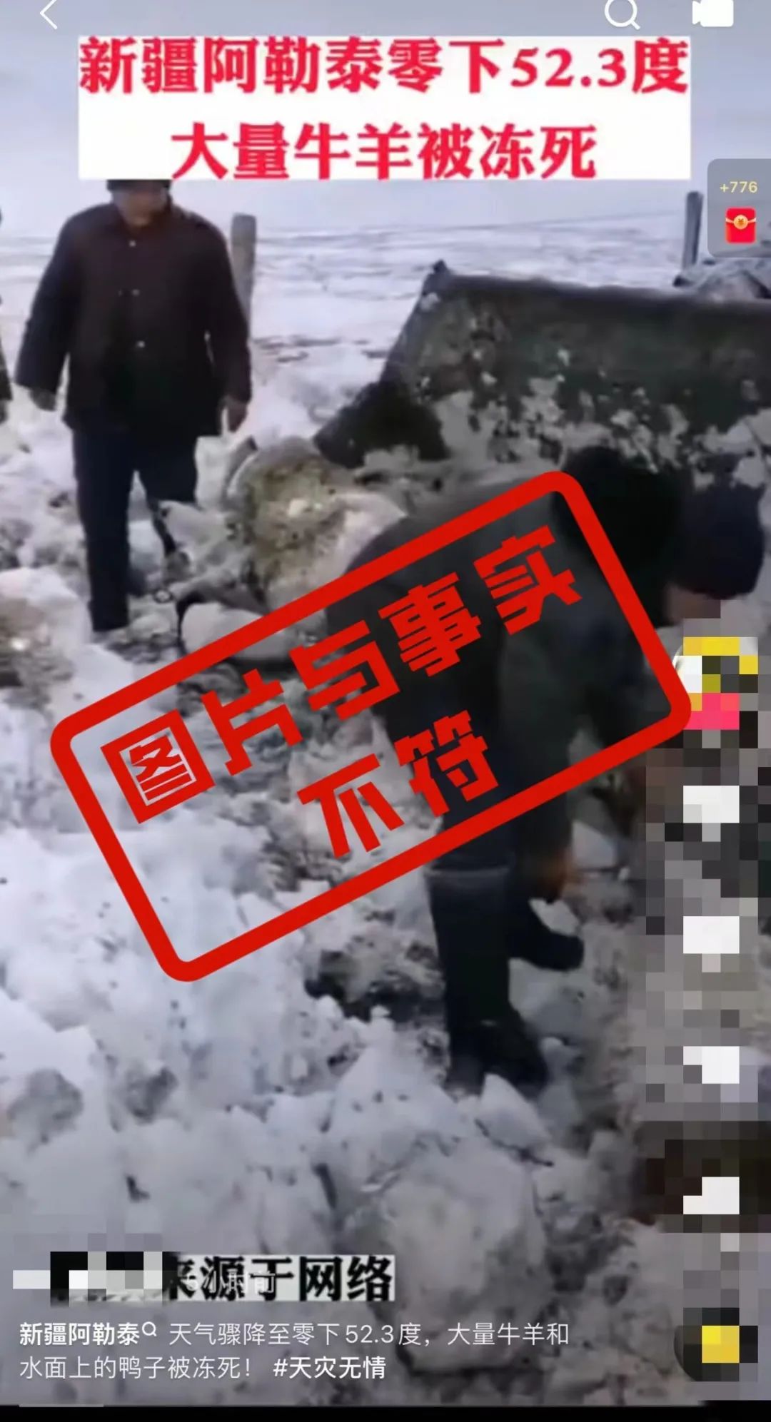 新疆阿勒泰极端天气冻死牲畜和飞禽？官方回应