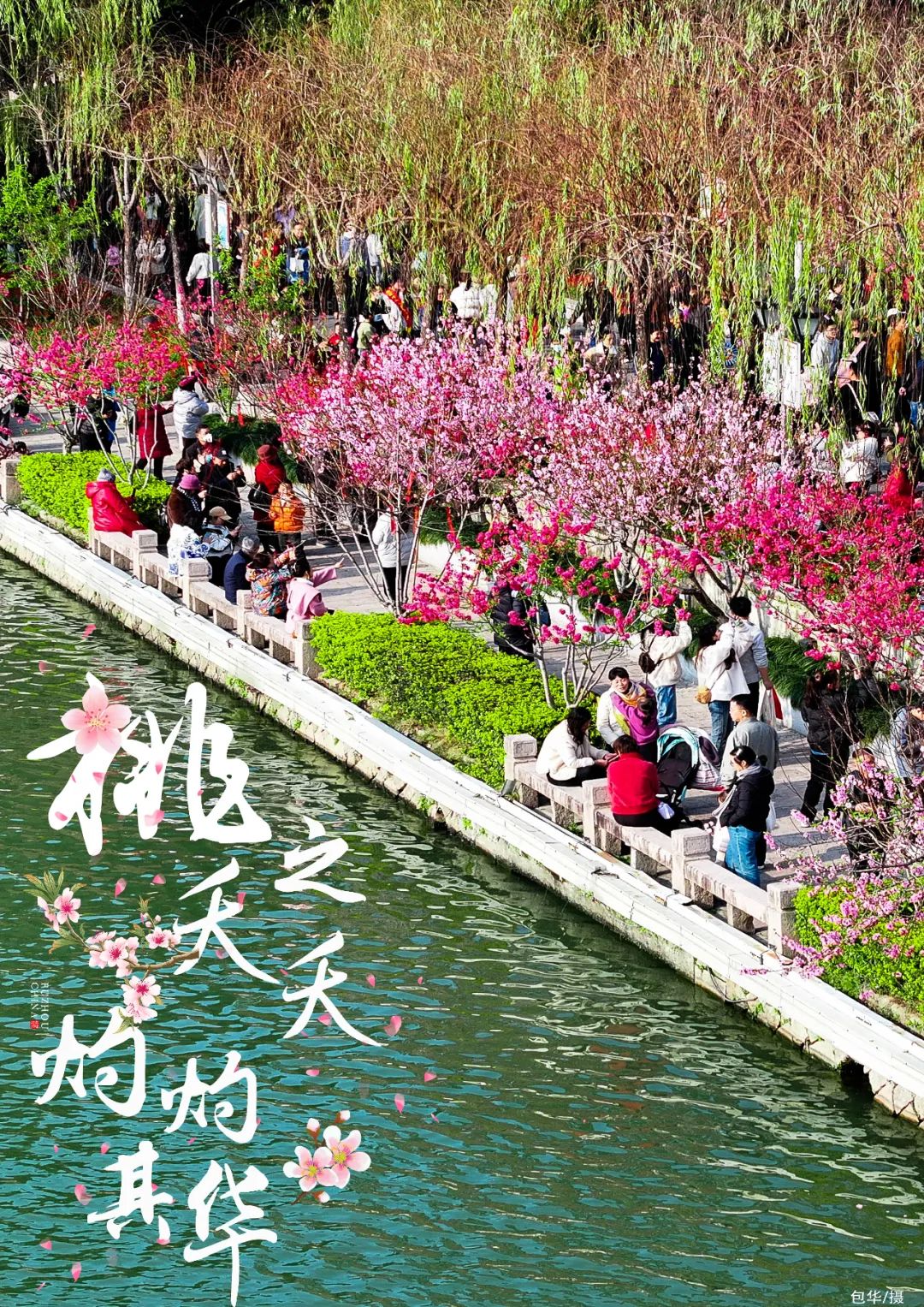 阳春三月！福州桃花朵朵开！