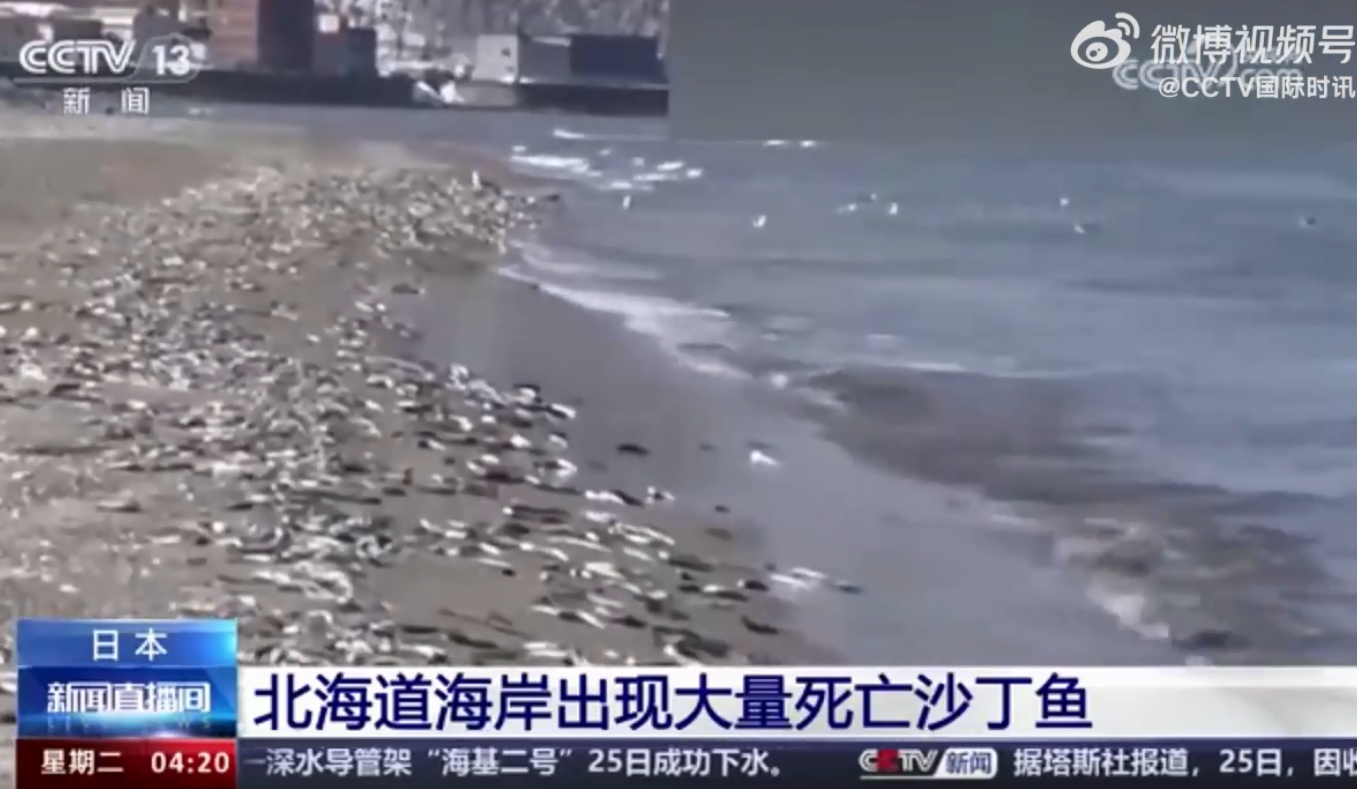 日本海岸现大量死鱼，绵延7公里！与核污染水有关？清华大学模拟结果：核污染水下月到达中国沿海