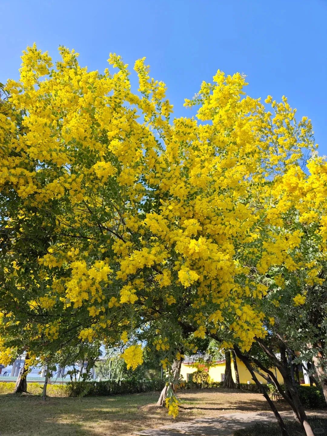 闯入福州的“花花世界”