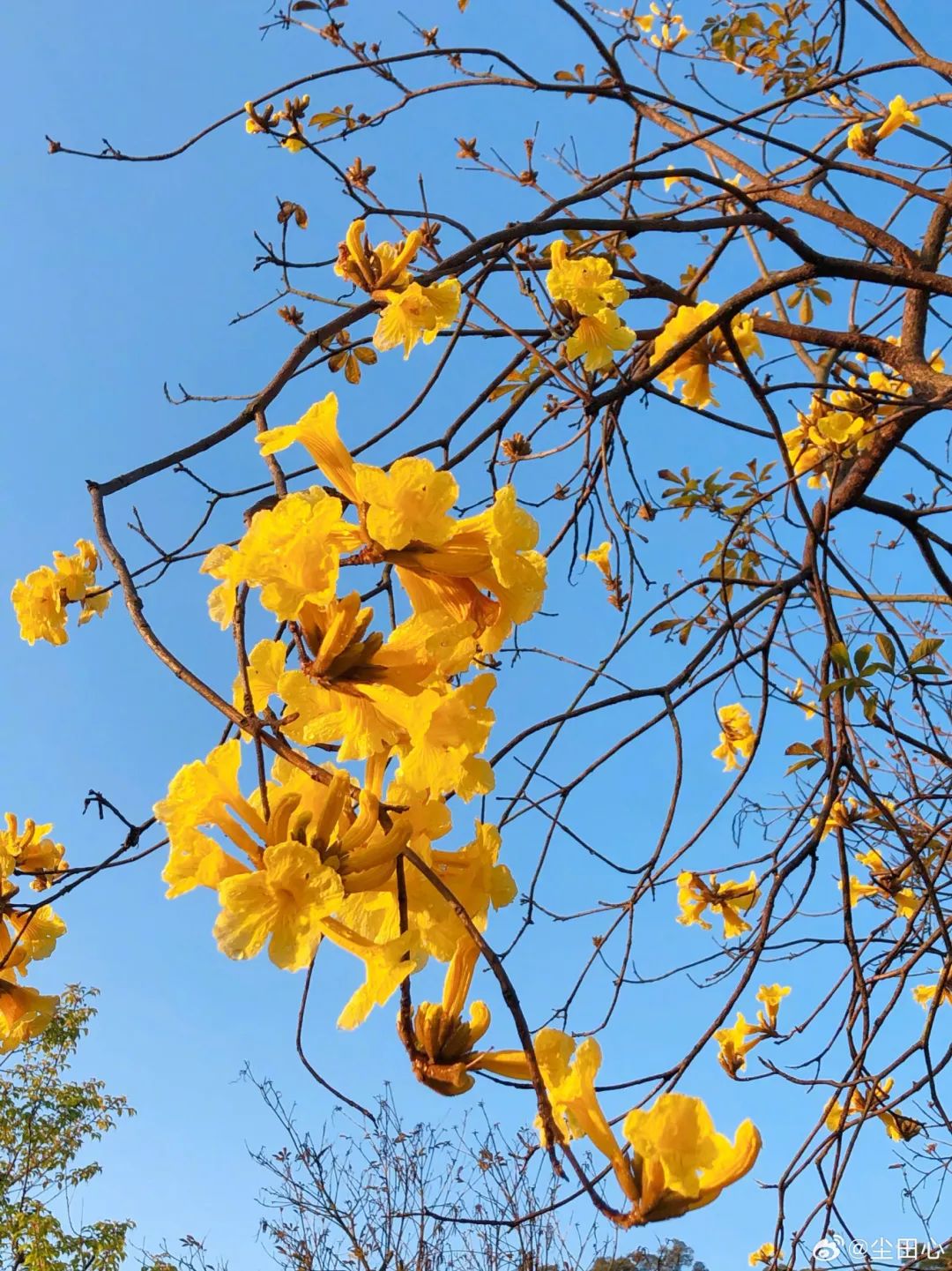 闯入福州的“花花世界”