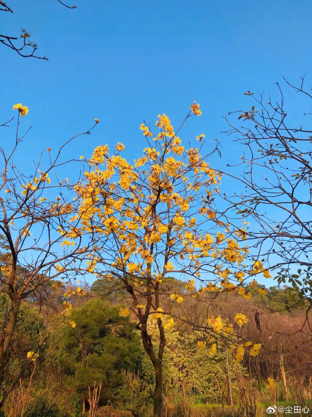 闯入福州的“花花世界”