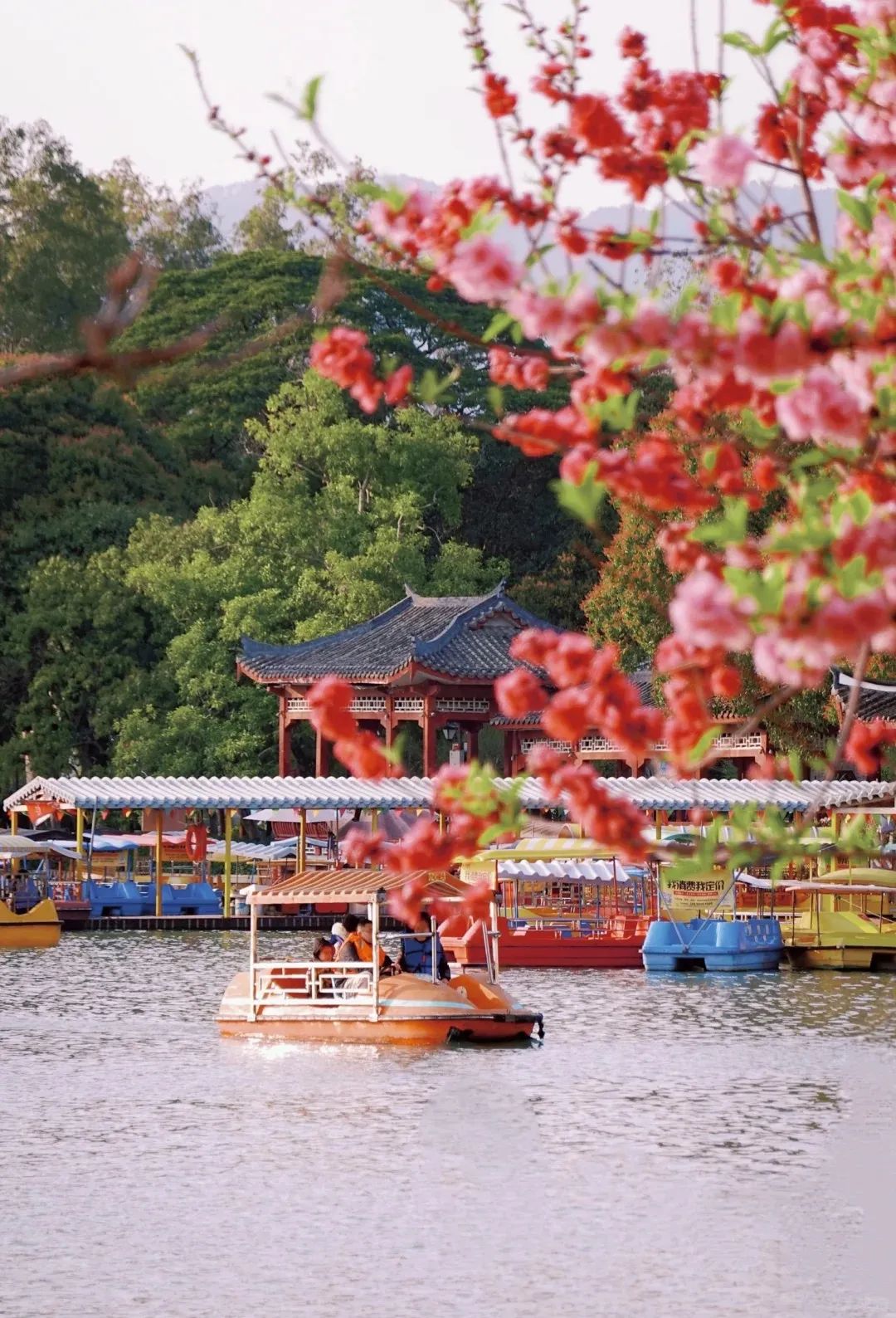 闯入福州的“花花世界”