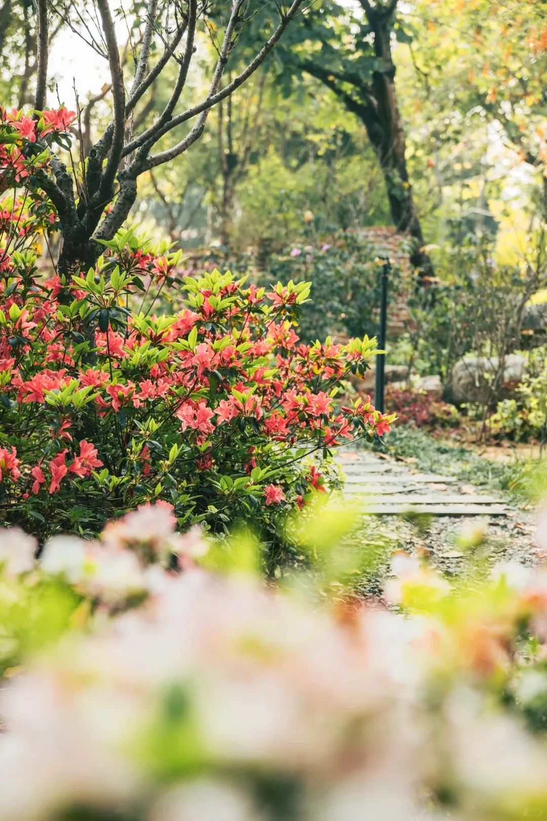 闯入福州的“花花世界”