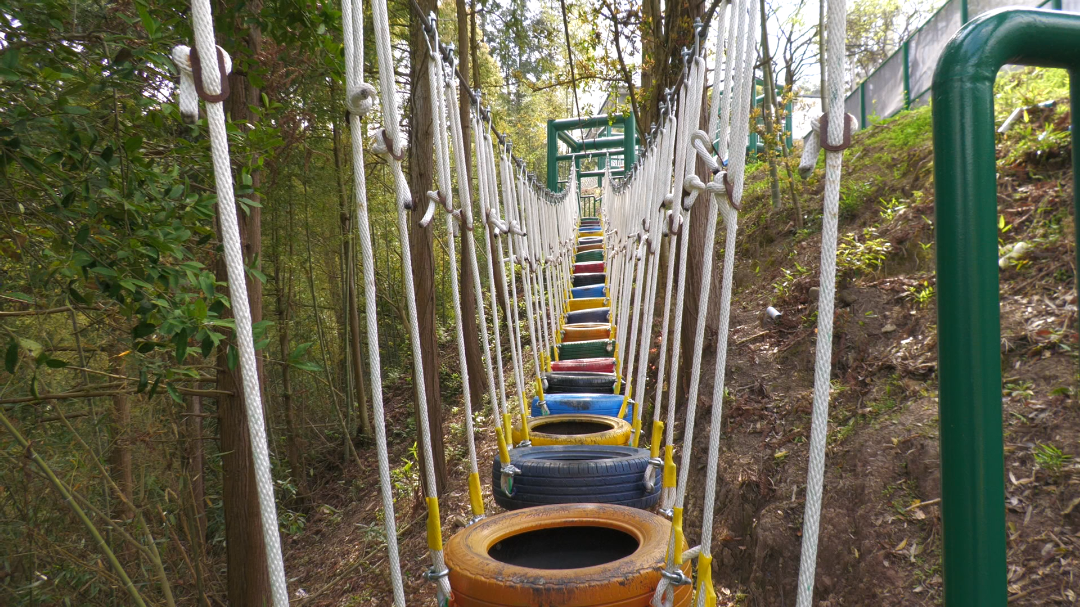 漳州研学实践基地图片