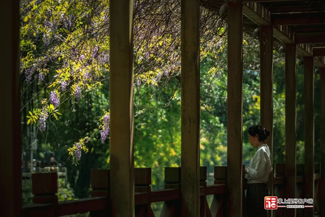 梦幻“繁花”摇曳上线！带你走“花路”