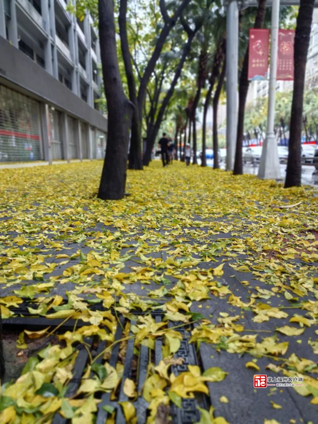 雨后福州有惊喜！注意，福建接下来还有暴雨……