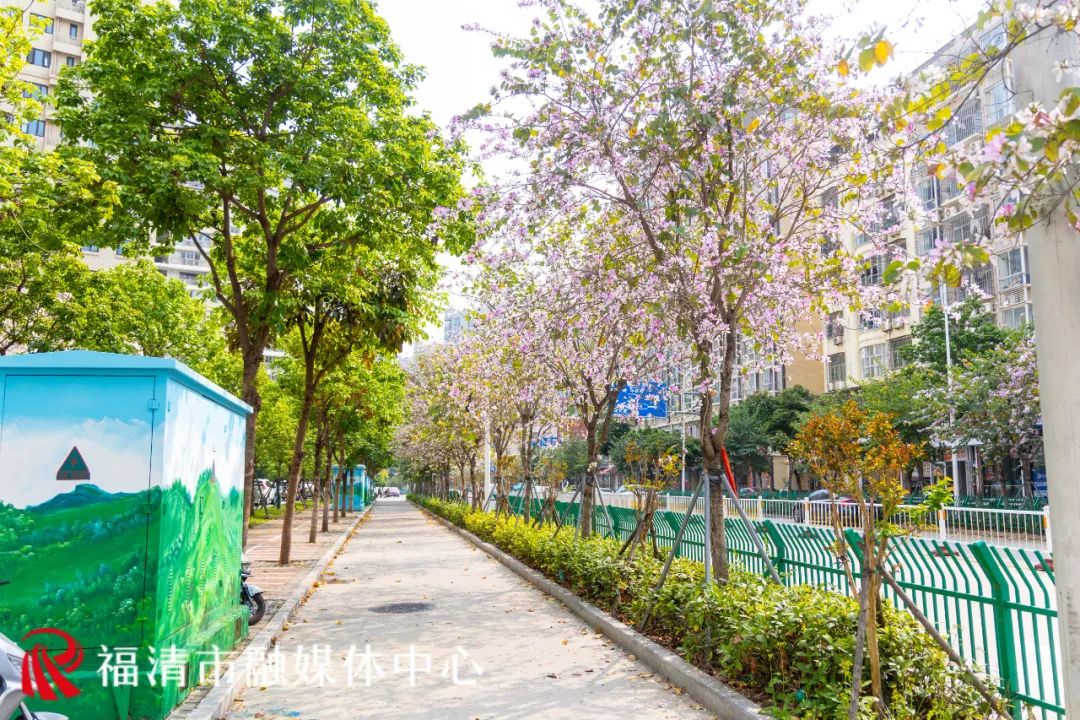 刷屏！福清多地已出现！