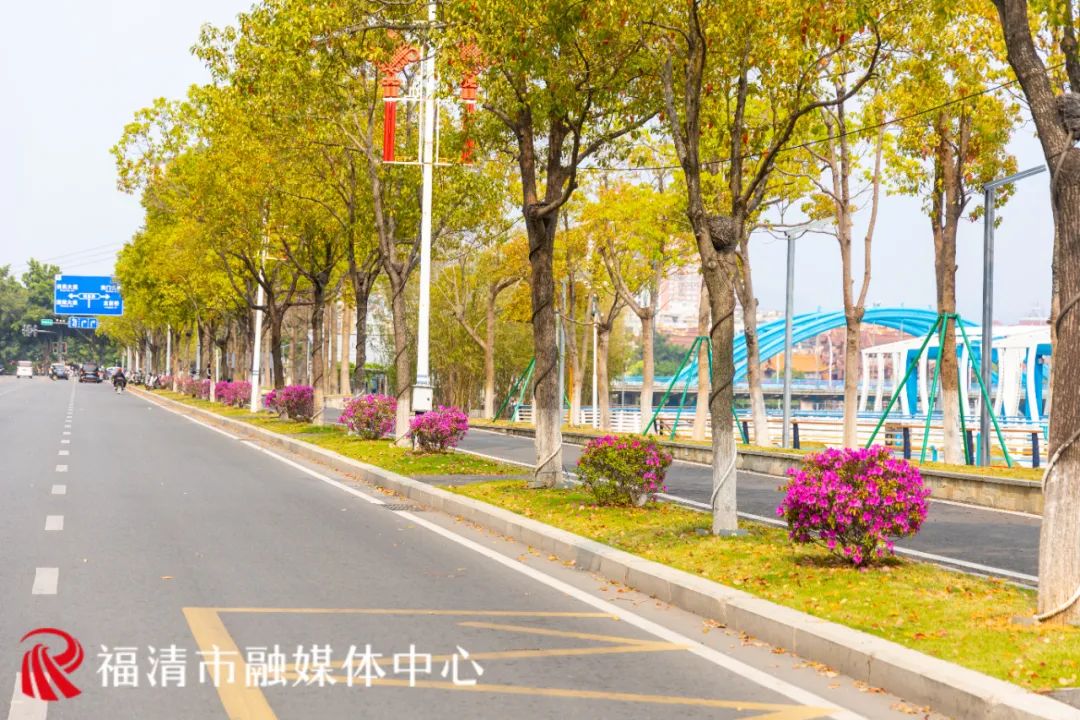 刷屏！福清多地已出现！