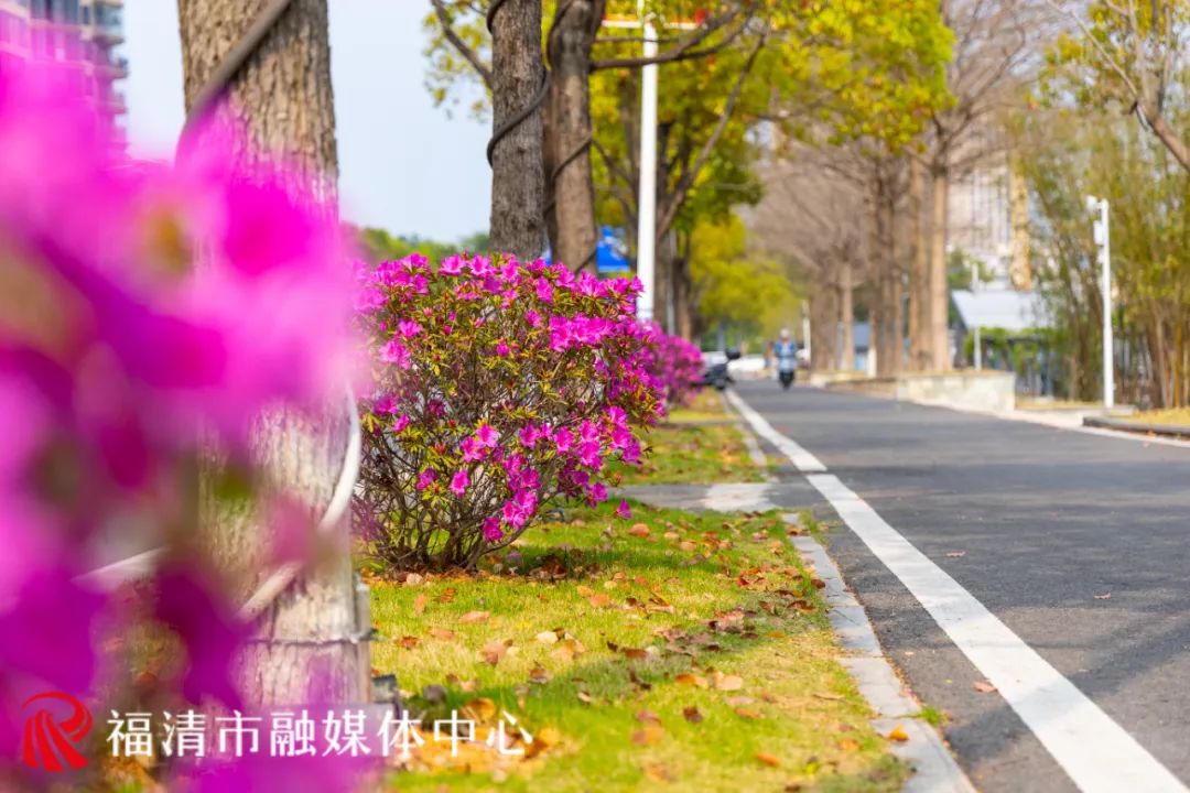刷屏！福清多地已出现！