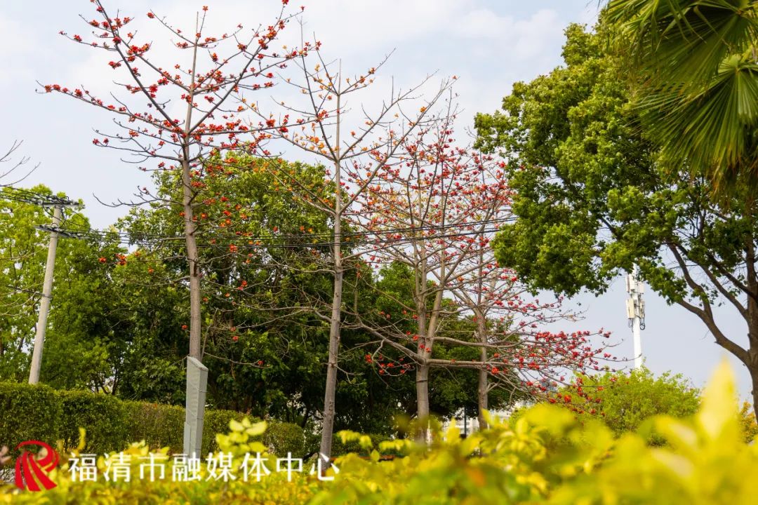 刷屏！福清多地已出现！