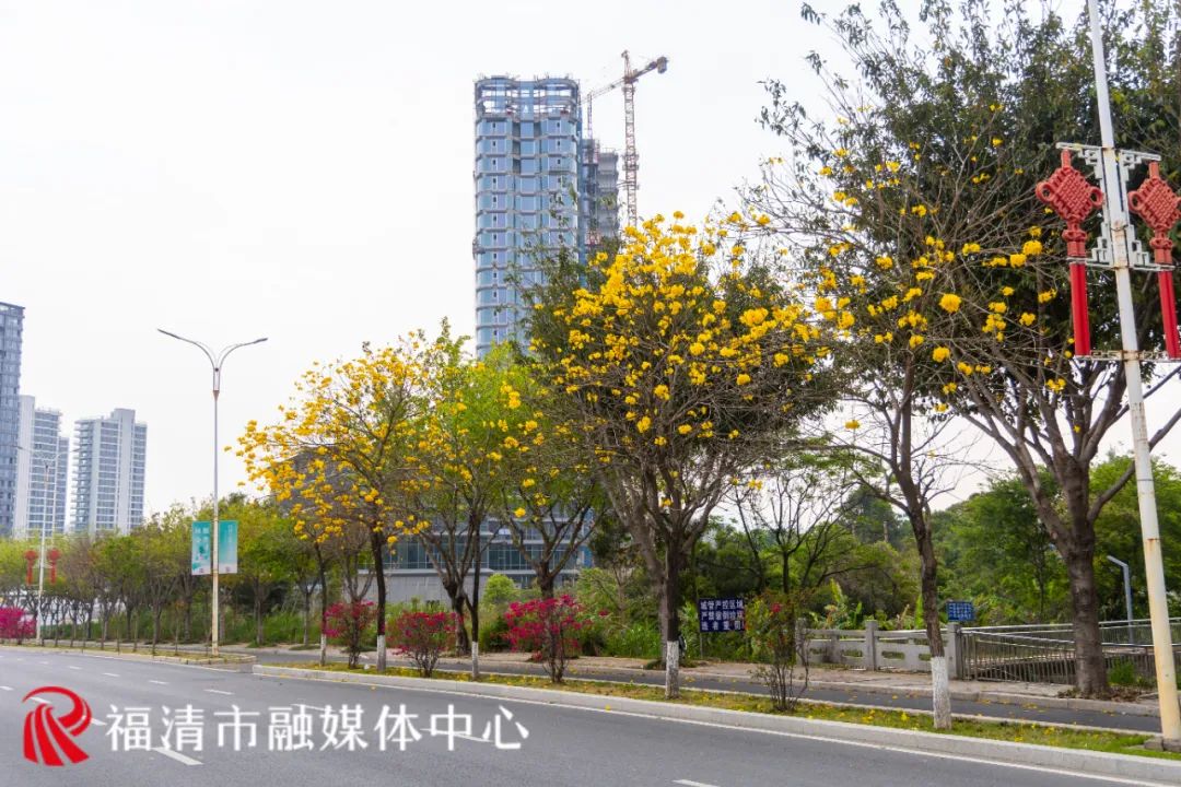 刷屏！福清多地已出现！