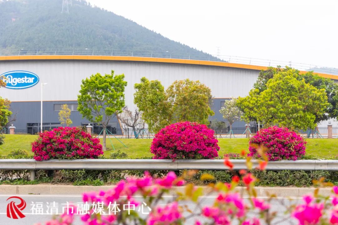 刷屏！福清多地已出现！