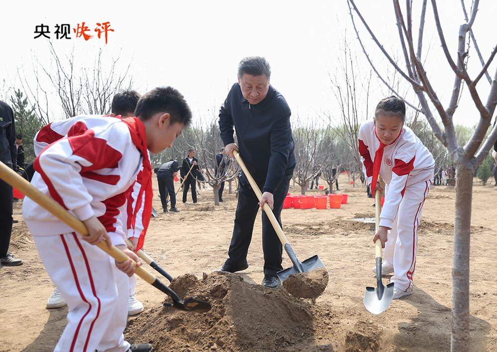 【央视快评】全民植树增绿 共建美丽中国