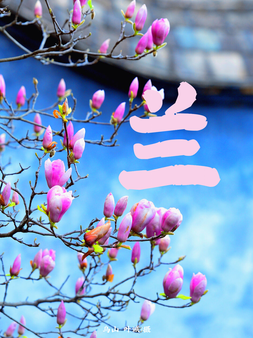 美！用汉字打开福州的春天！