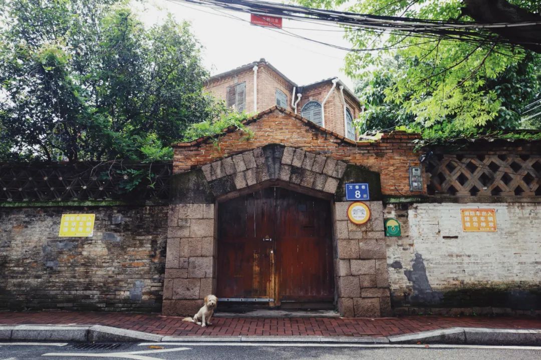 有声书｜万春巷8号，不只是一栋楼……