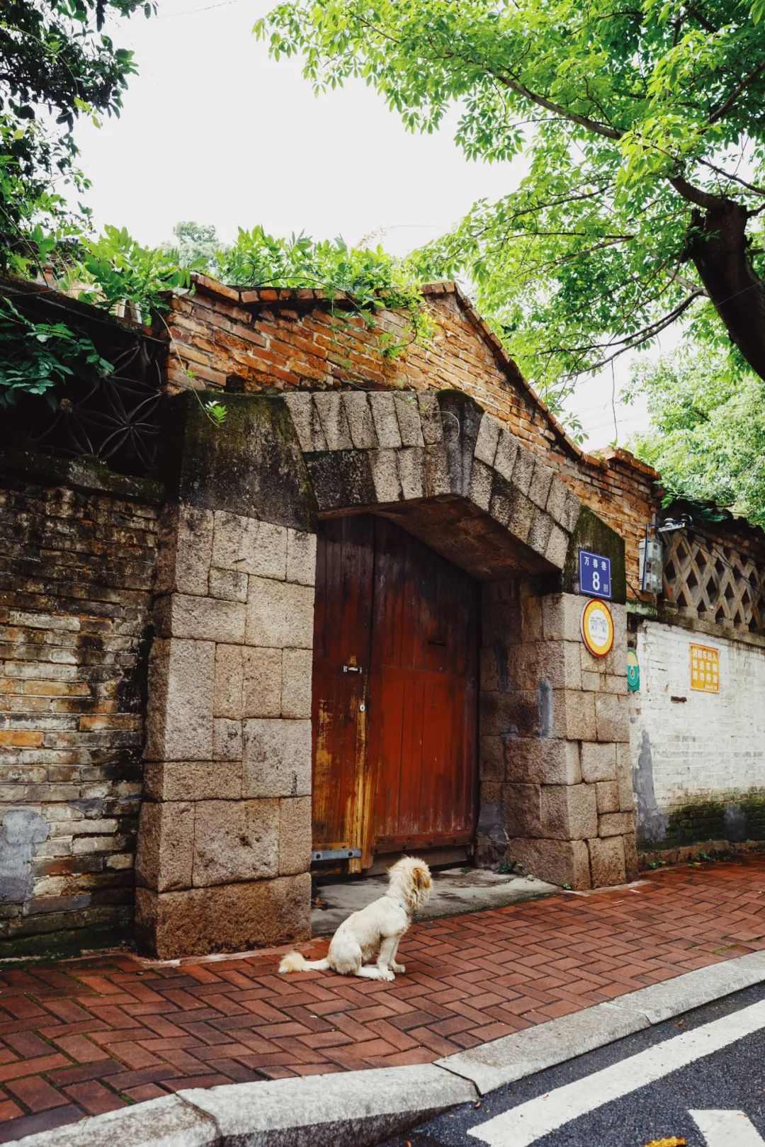 有声书｜万春巷8号，不只是一栋楼……