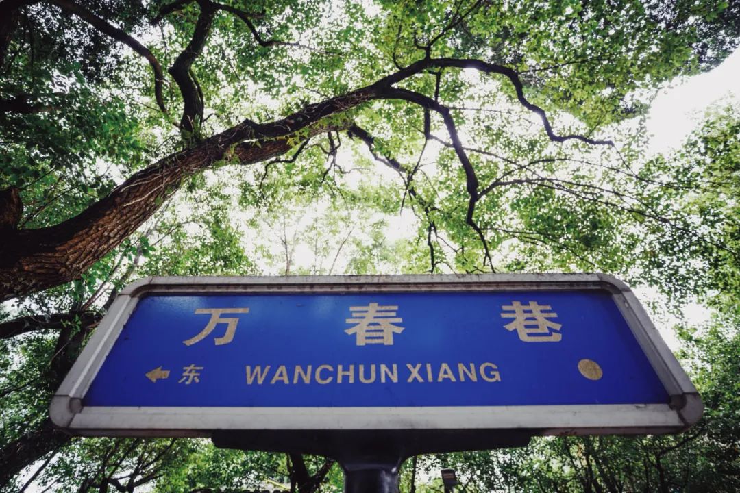 有声书｜万春巷8号，不只是一栋楼……