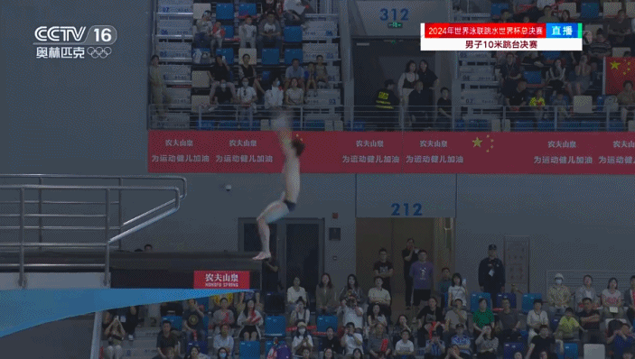 祝贺！杨昊夺得跳水世界杯男子10米跳台冠军