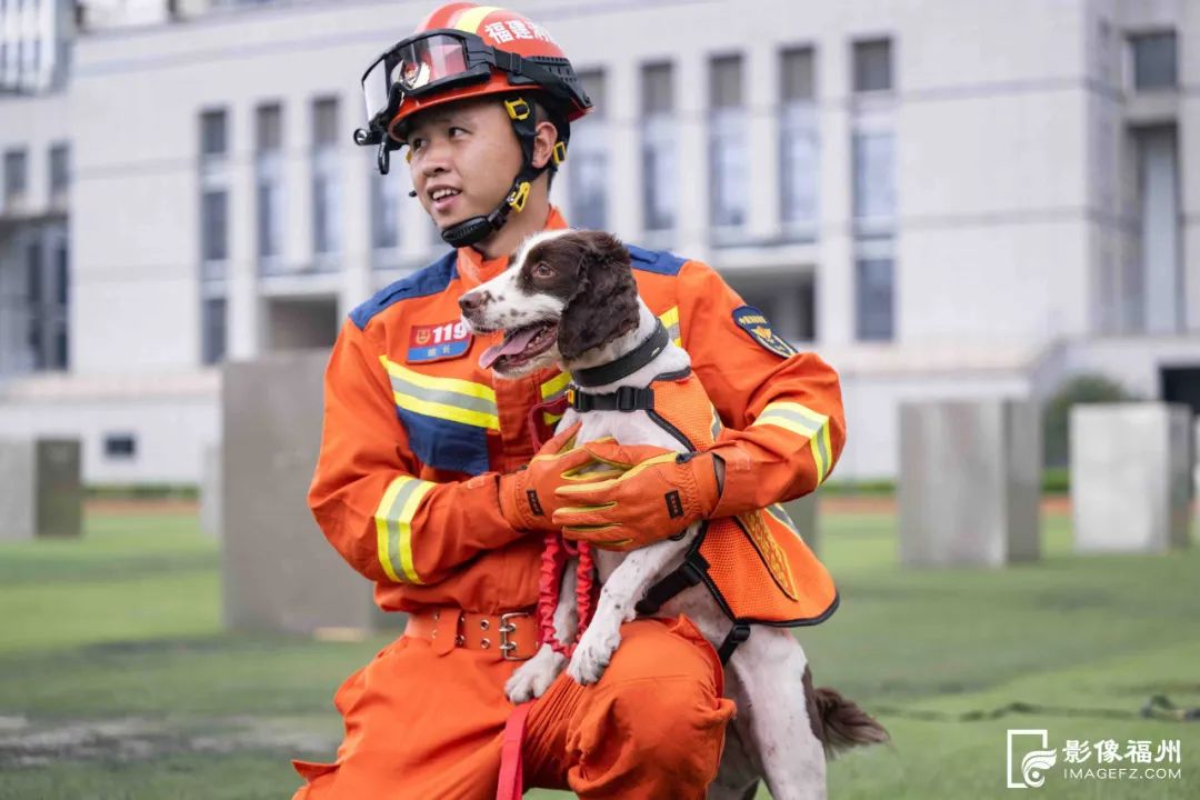 今日是国际搜救犬日，揭秘福州“神犬奇兵”如何炼成！