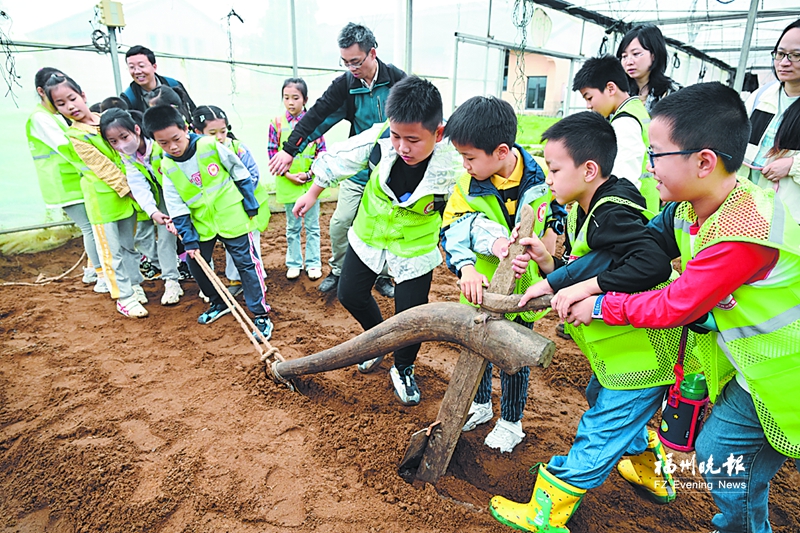 福州晚报写作训练营开营啦 家长、名师好评连连